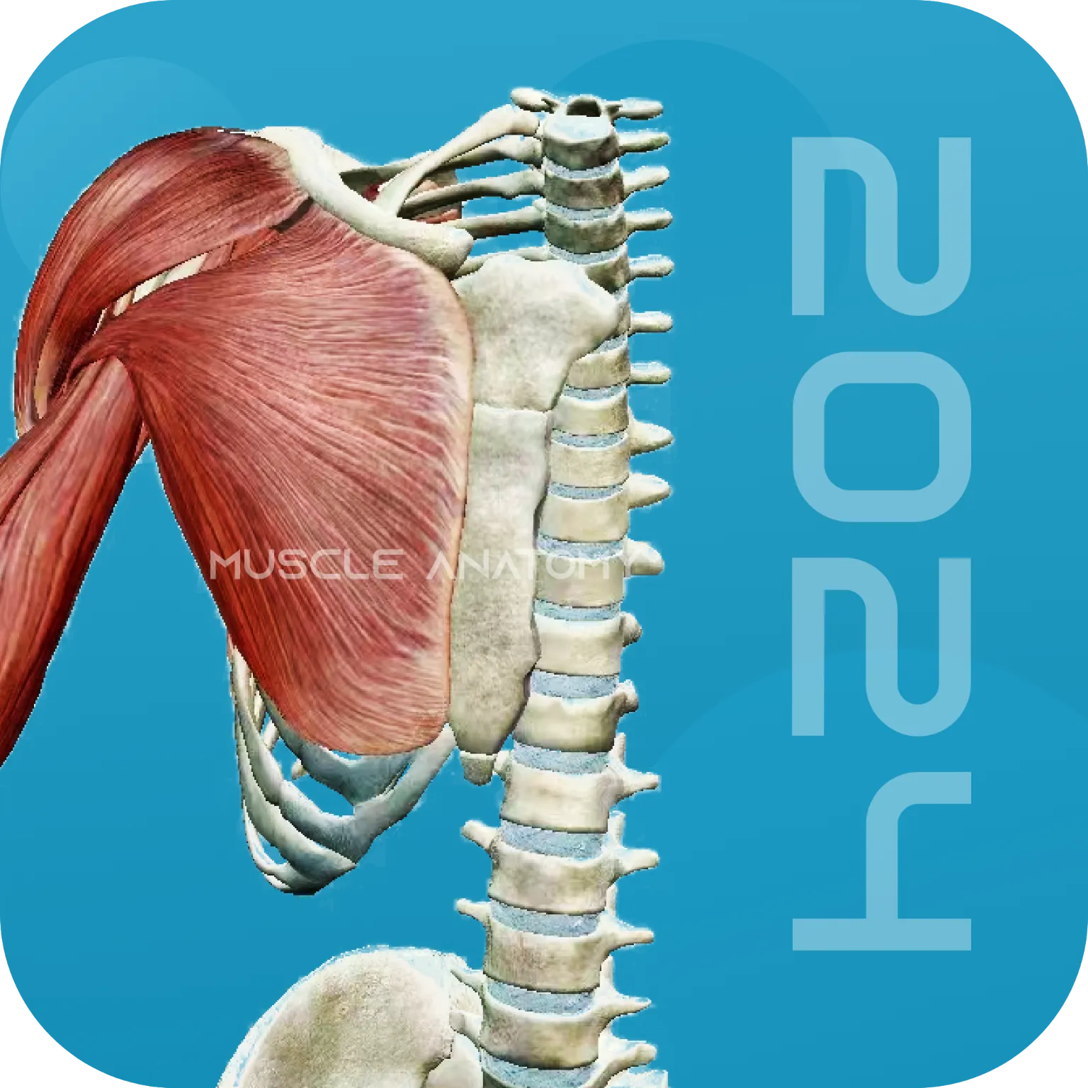 3D2025ذװv1.3 ٷ