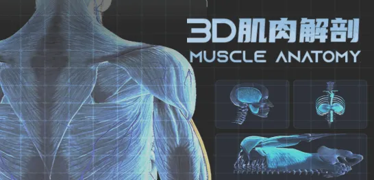 3D2025ذװ