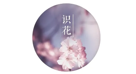 ʶ(ʶ𹤾)