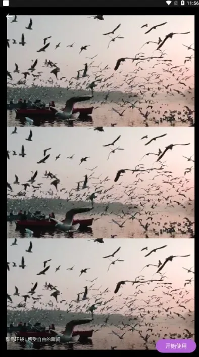 pixverse(AI视频创作) pixverse(AI视频创作)