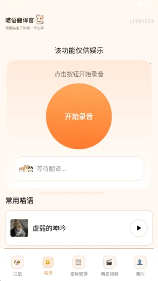 狗猫交流翻译(宠物交流) 狗猫交流翻译(宠物交流)