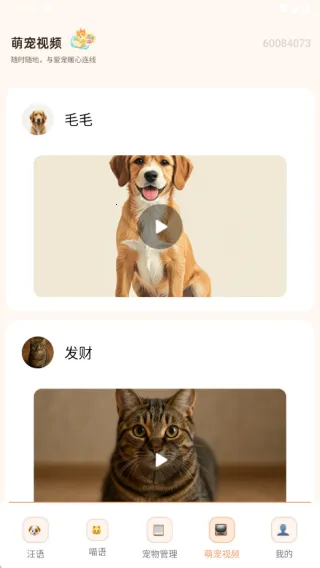 狗猫交流翻译(宠物交流) 狗猫交流翻译(宠物交流)