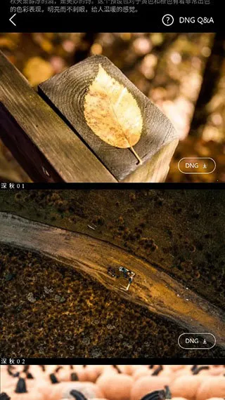 Koloro滤镜大师调色(图片视频调色) Koloro滤镜大师调色(图片视频调色)