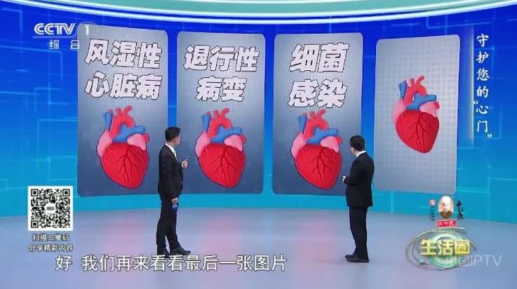 申小豹2025下载 申小豹2025下载