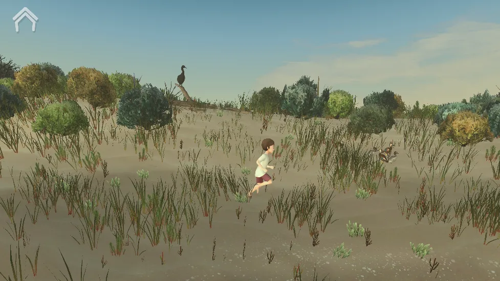 男孩与鹈鹕(冒险治愈游戏) 男孩与鹈鹕(冒险治愈游戏)