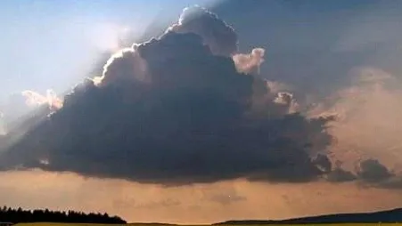 ����ʵʱԤ������(������ѯ����)