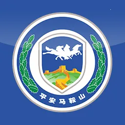 ƽ������ɽ2025���ذ�װvmassgtzzv4.3.7.19 ��Ѱ�