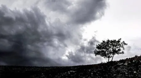 天气大富翁2025下载安装 天气大富翁2025下载安装