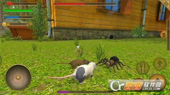 ��������ģ����2025����