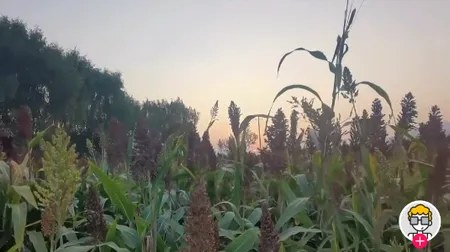 潮新闻2025官方正版 潮新闻2025官方正版