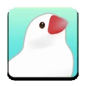 ��������2025�ٷ����°汾v1.1 ��Ѱ�