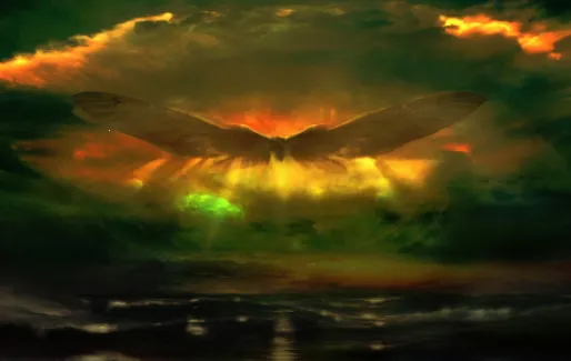 兄弟影视(影视播放软件) 兄弟影视(影视播放软件)