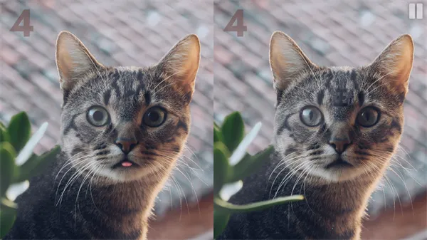 慧眼寻异(找茬游戏) 慧眼寻异(找茬游戏)