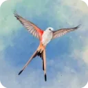 չ�᰿��2026����