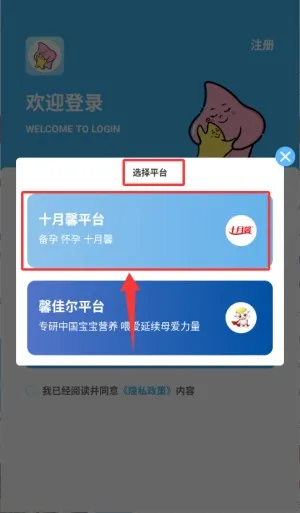 掌馨2026下载安装 掌馨2026下载安装