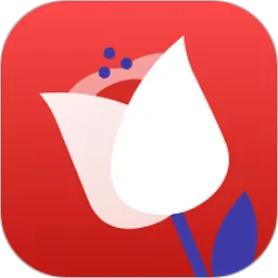 �ʻ���ѡ2026���ذ�װv3.1 ��Ѱ�