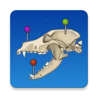 vet Anatomy2026���°汾v4.3.1 �ٷ�����