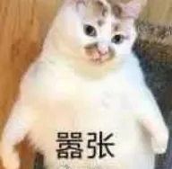 ʦ᡿(Ϸ)v3.1 ٷ