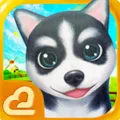 С2()v1.0.68 ٷ