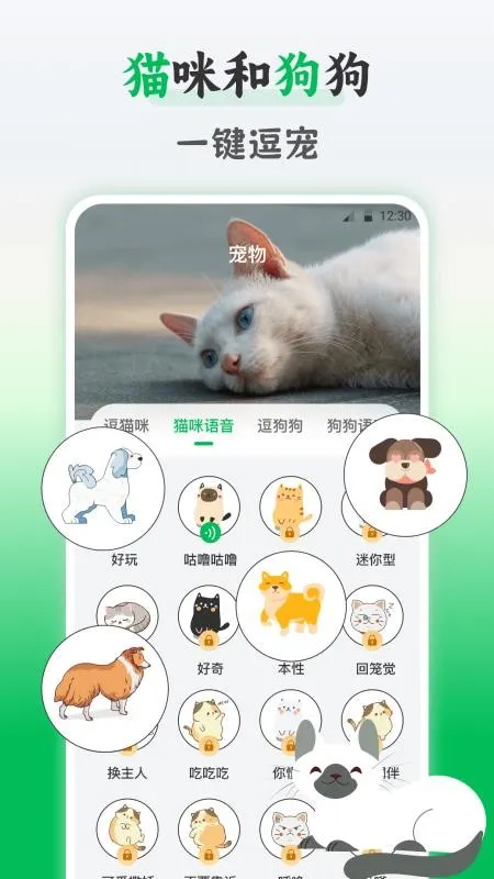 ｻ2025ذװ