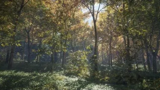 猎人野性的呼唤 猎人野性的呼唤