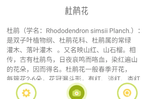 花草妙识最新手机版 花草妙识最新手机版