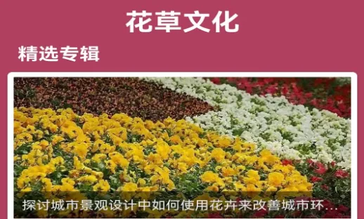 花草妙识最新手机版 花草妙识最新手机版