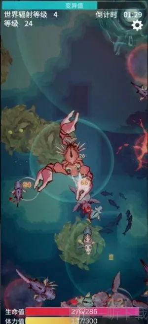 ����֮��2026����