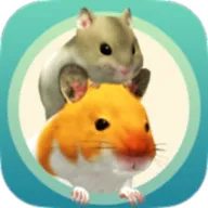 �ҵĲ���v5.0.15 ��Ѱ�