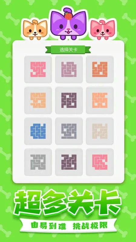 ������һ�ʻ�2026���°汾