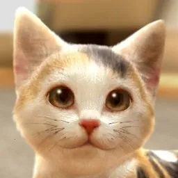 ���ҵ�èv1.0.0 ��׿��