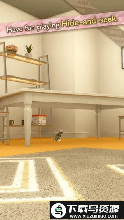 和我的猫 和我的猫