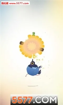 疯狂的鸽子 疯狂的鸽子