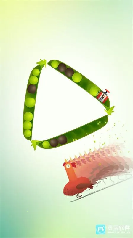 疯狂的鸽子 疯狂的鸽子