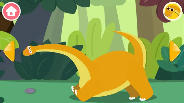 动物乐园 动物乐园