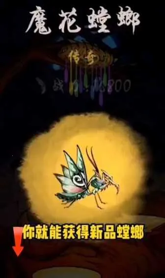 ��Ʒ���2026���ذ�װ