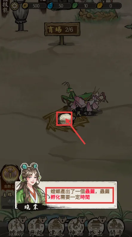 ��Ʒ���2026���ذ�װ