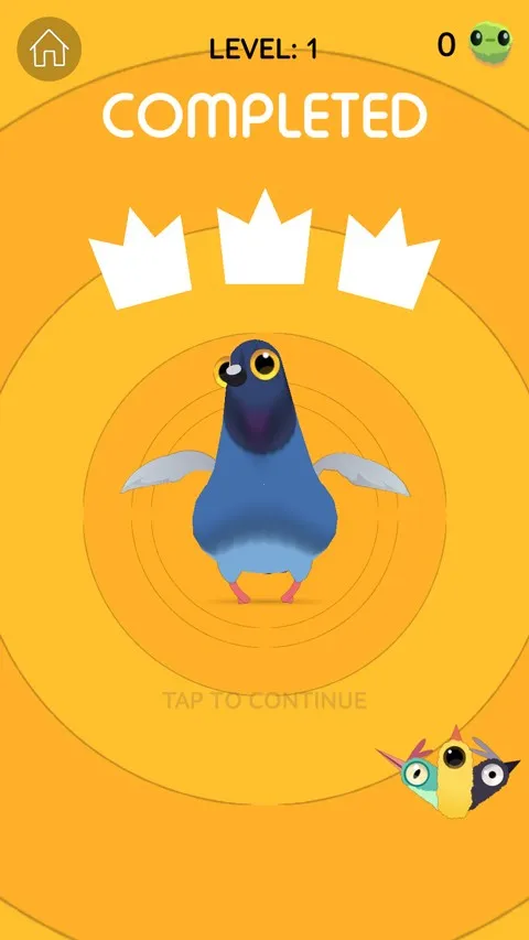 ���ĸ������İ�����