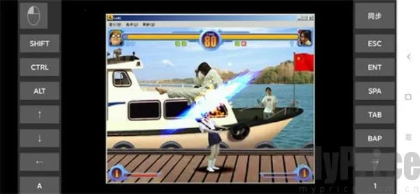 ����������˵����