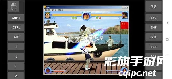 ����������˵����