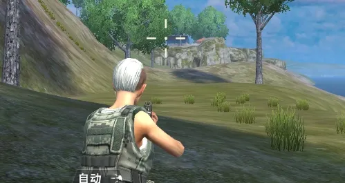 ����С�ӵ����Լ�