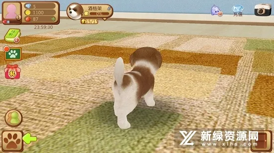 心动小狗2026下载安装 心动小狗2026下载安装