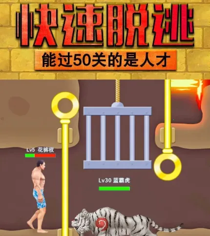 ����������2026����