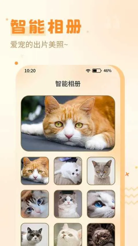 ����è�ﰲ׿���ֻ���