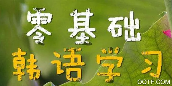 ���﷢���ʵ�2026���°汾