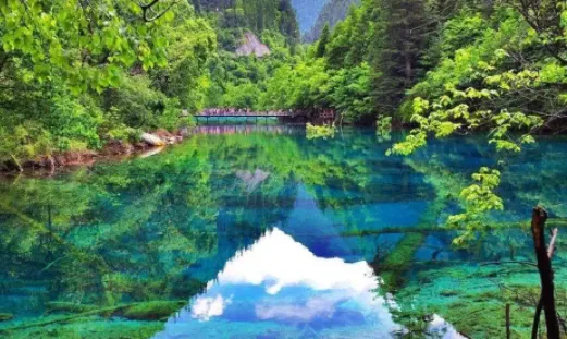 掌上爱众 掌上爱众