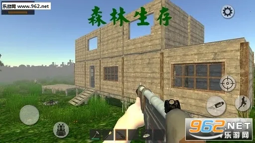 ɭ�����氲׿���ֻ���