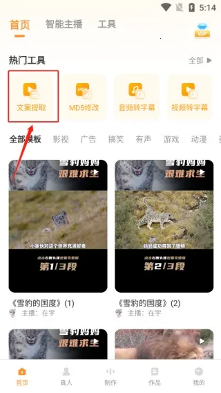 ����ѼVIP������