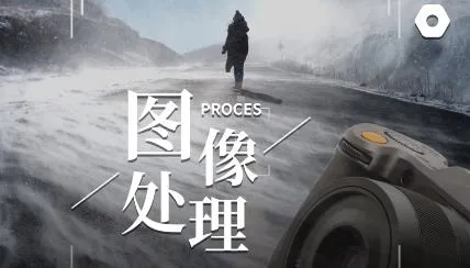 ������2026����