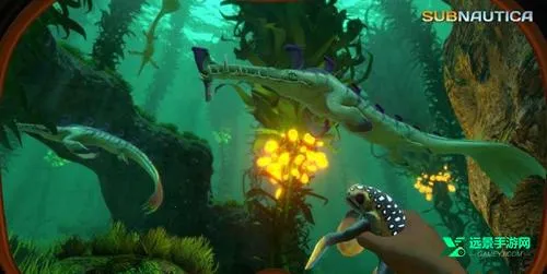 ��Ժ��ֻ������İ�����